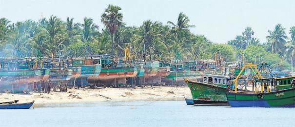 நாளைமுதல் மீன்பிடி தடைக்காலம்