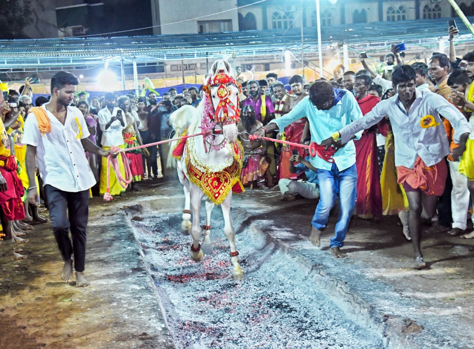 தீக்குழியில் இறங்கி தீமித்த குதிரைகள்