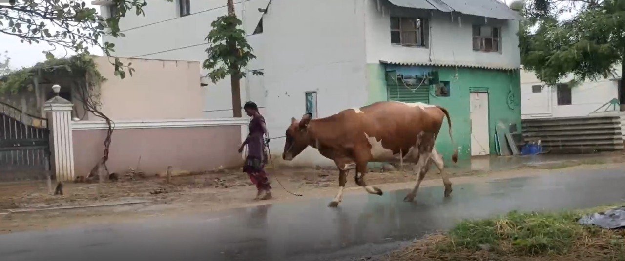 திருப்பத்தூர் சுற்றுவட்டார பகுதிகளில் மழை – மக்கள் மகிழ்ச்சி