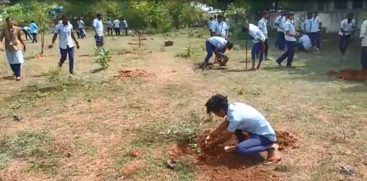 உலக சுற்றுசூழல் தினத்தை முன்னிட்டு மரக்கன்றுகள் நடும் மக்கள்