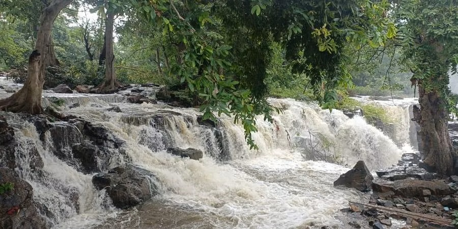 மணிமுத்தாறு, ஒகேனக்கல் அருவிகளில் குளிக்கத் தடை