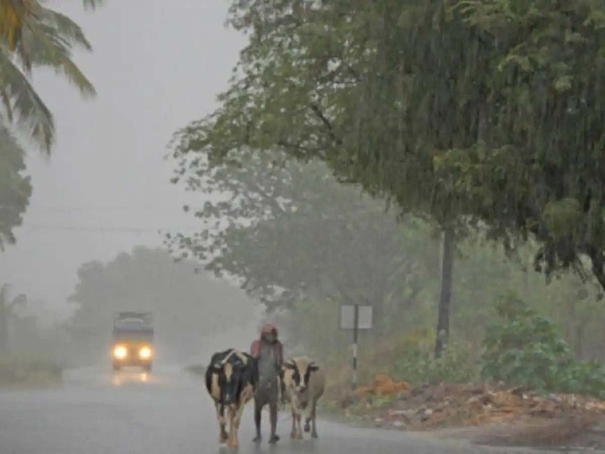 நீலகிரி, கோவை மாவட்டங்களுக்கு மீண்டும் கனமழை எச்சரிக்கை