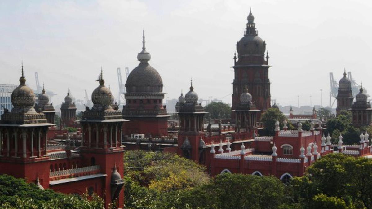 நுகர்பொருள் வாணிபக் கழகம் கோரிய டெண்டரில் மேல் நடவடிக்கை கூடாது : உயர்நீதிமன்றம்